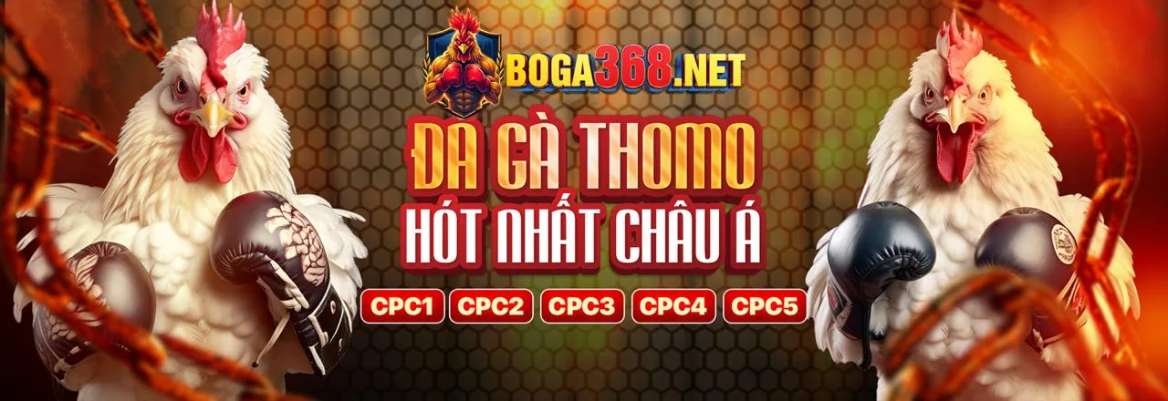 Đá gà trực tuyến kịch tính tại 789pp nhà cái